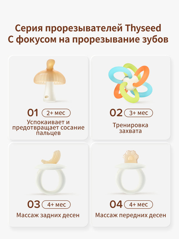прорезыватель для зубов - массаж задних десен, 4+мес, 1 шт