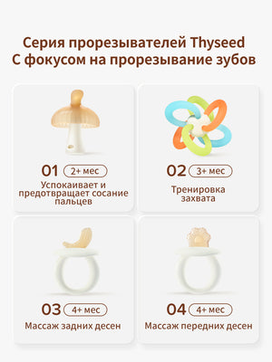 прорезыватель для зубов для новорожденных, от 2+ мес