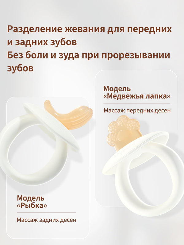 прорезыватель для зубов - массаж задних десен, 4+мес, 1 шт